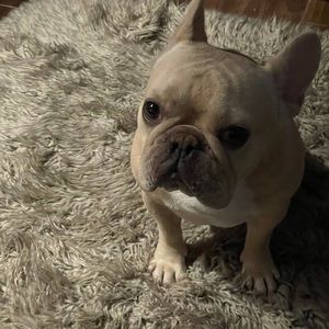 Meet your Posher, Angelina